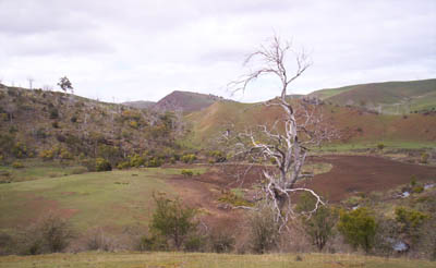 photo: Central Highlands, Tasmania
